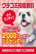 口コミ割引2000円ポイント！